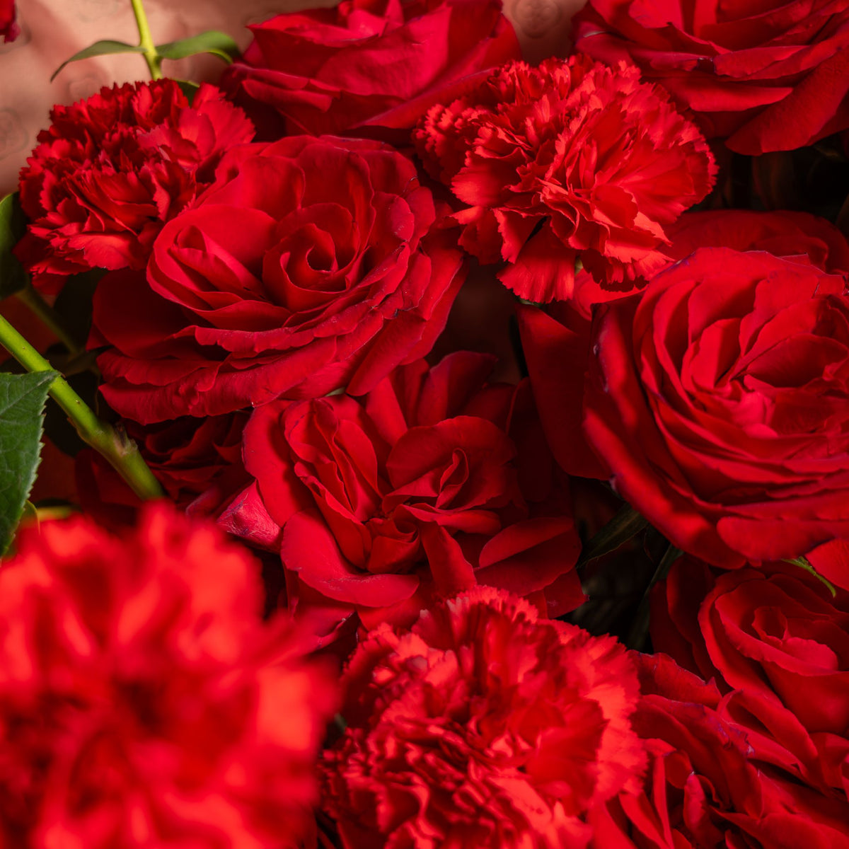 Crimson Signature Bloom Box