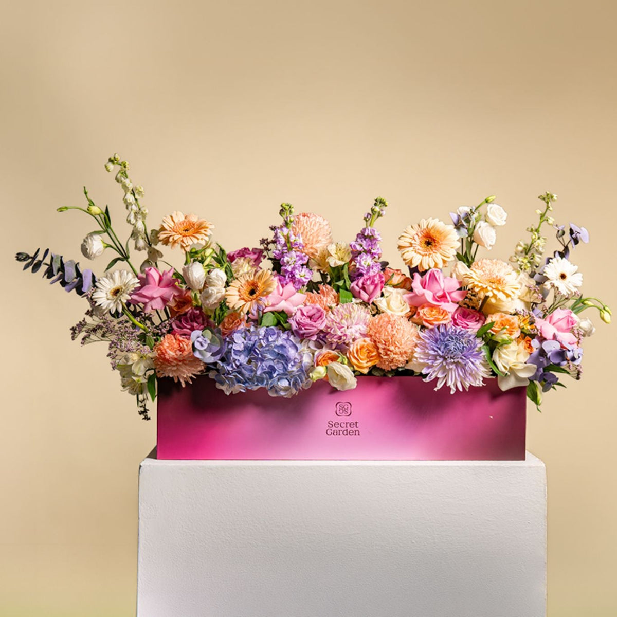 Pastel Palette Statement Box