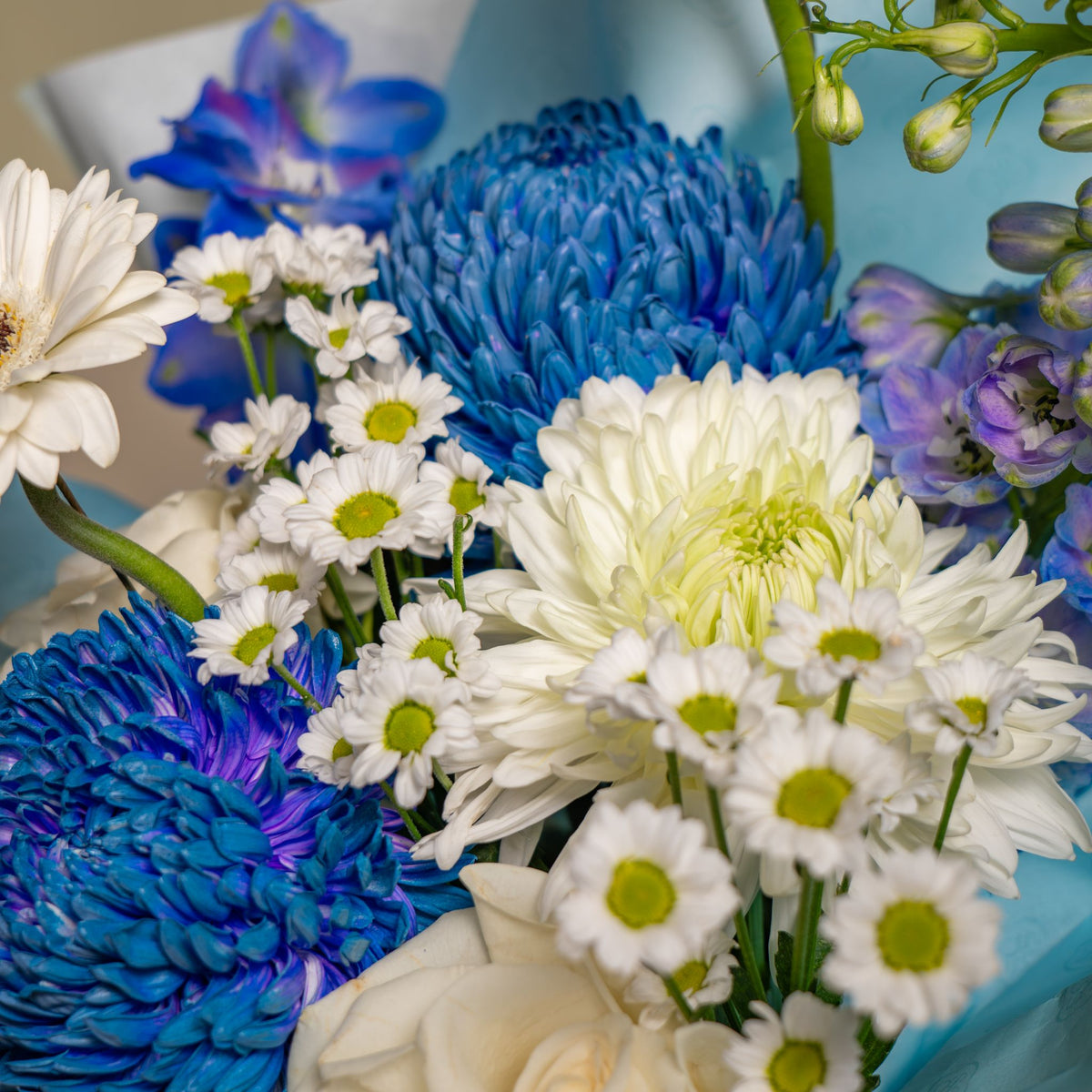 Aquamarine Petite Bloom Box