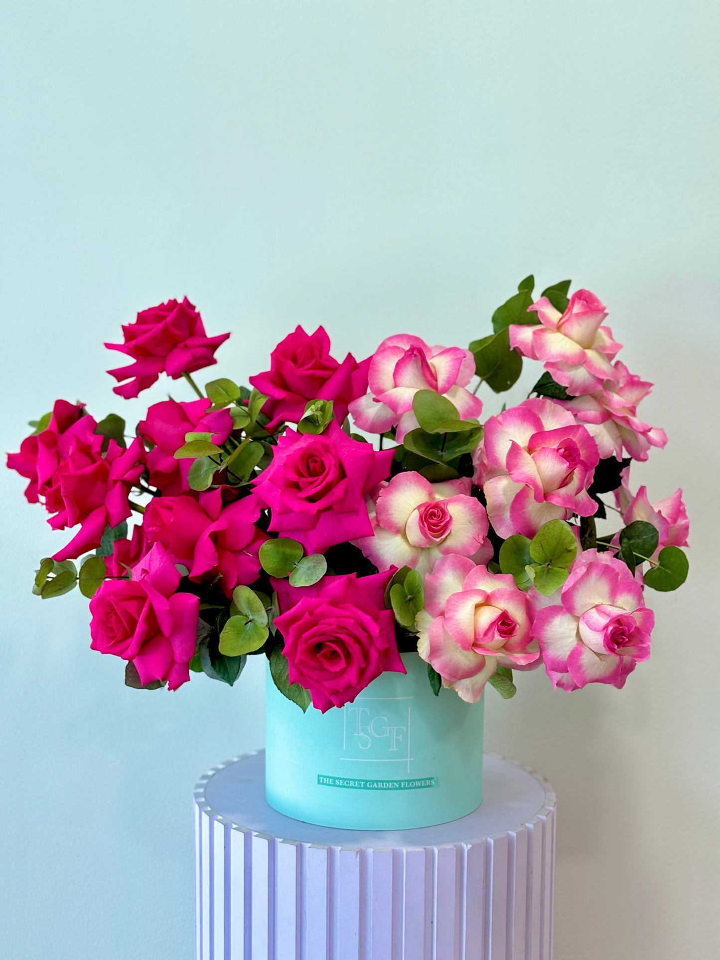 Glory Bloom