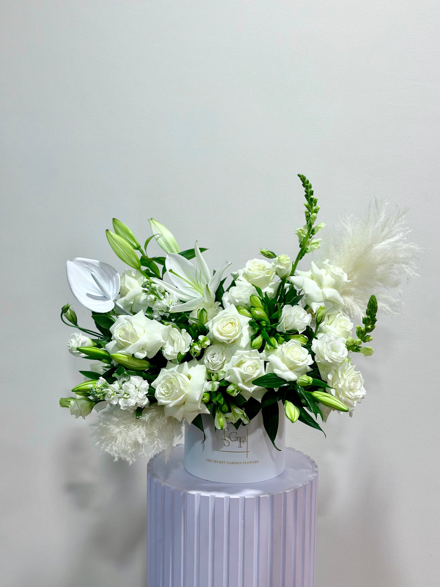 Innocence White
