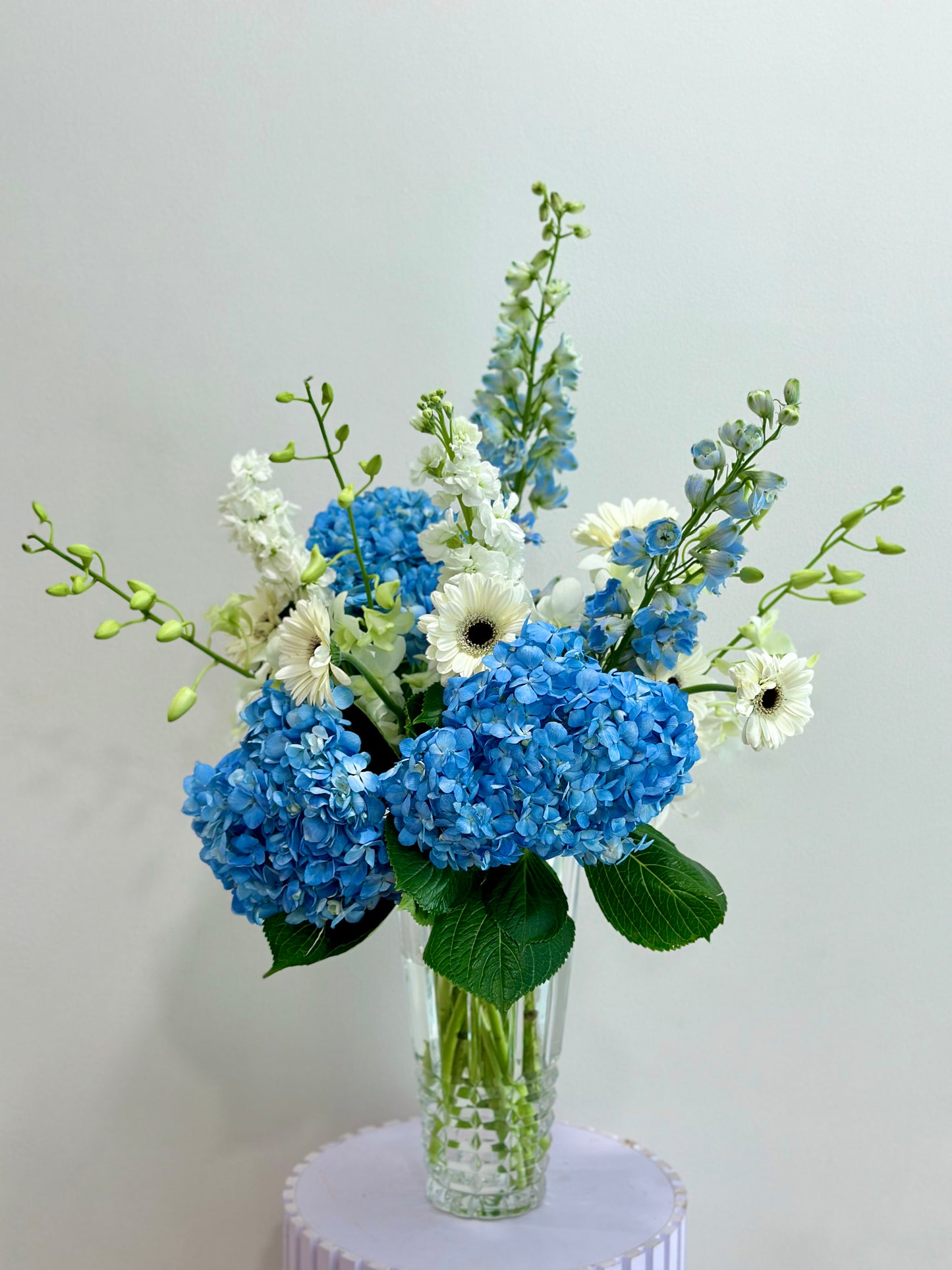 Dashing Blue
