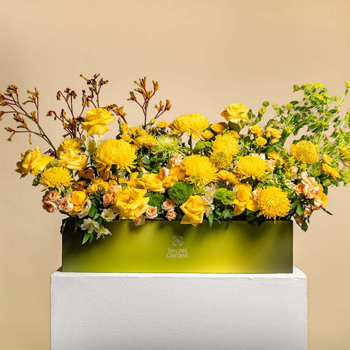 Sunset Meadow Statement Box
