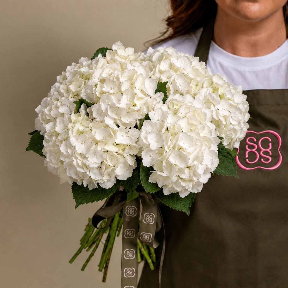 White Hydrangea